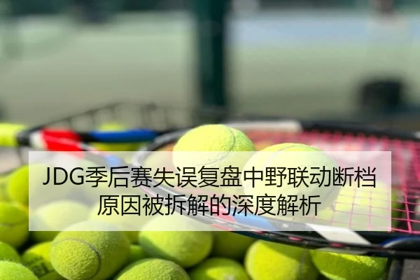 JDG季后赛失误复盘中野联动断档原因被拆解的深度解析